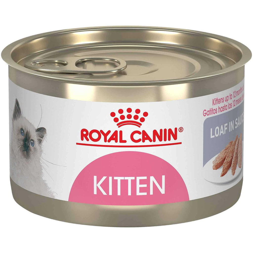 Kitten Loaf in Sauce Cat Food V42243