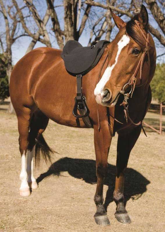 Soft Ride Saddle 14in/15in Y718863