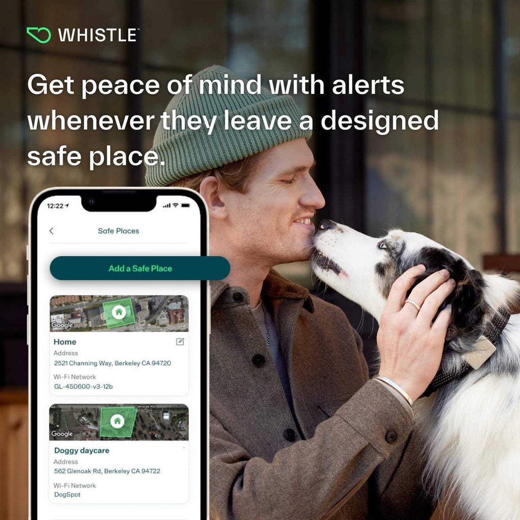 Smart Collar Kit GPS location Health & Fitness Y351162