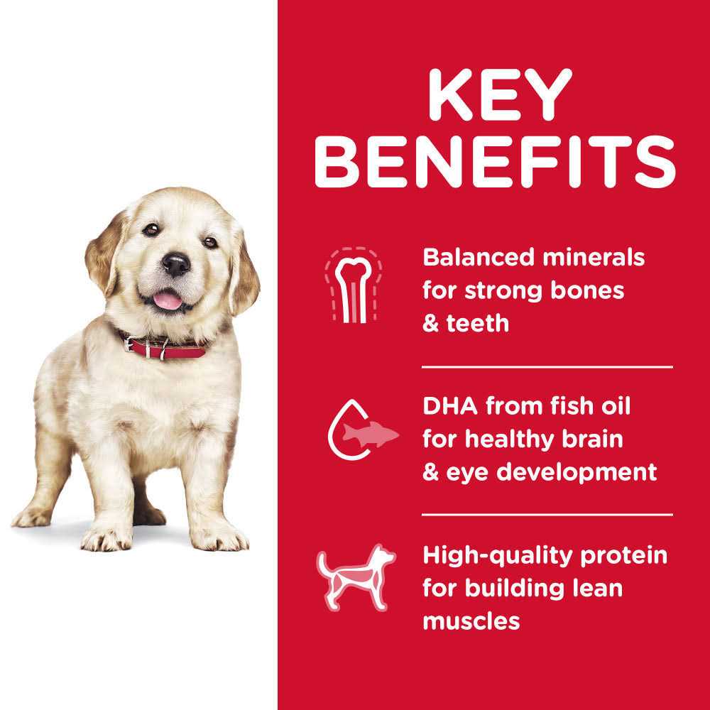 Chicken Recipe Dry Dog Food K1702