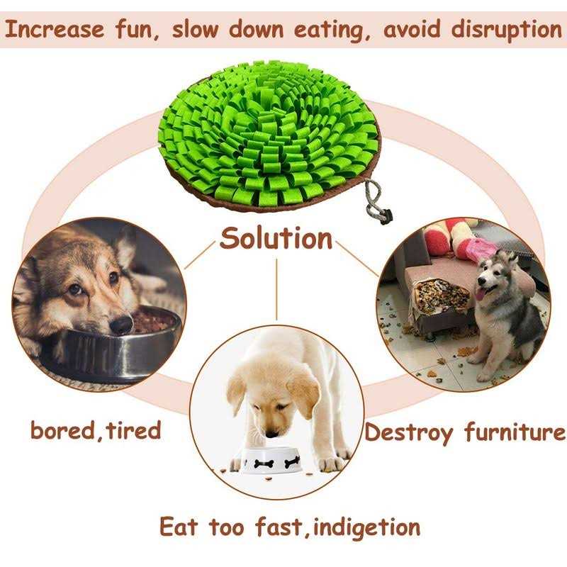 Pet Snuffle Mat R91203