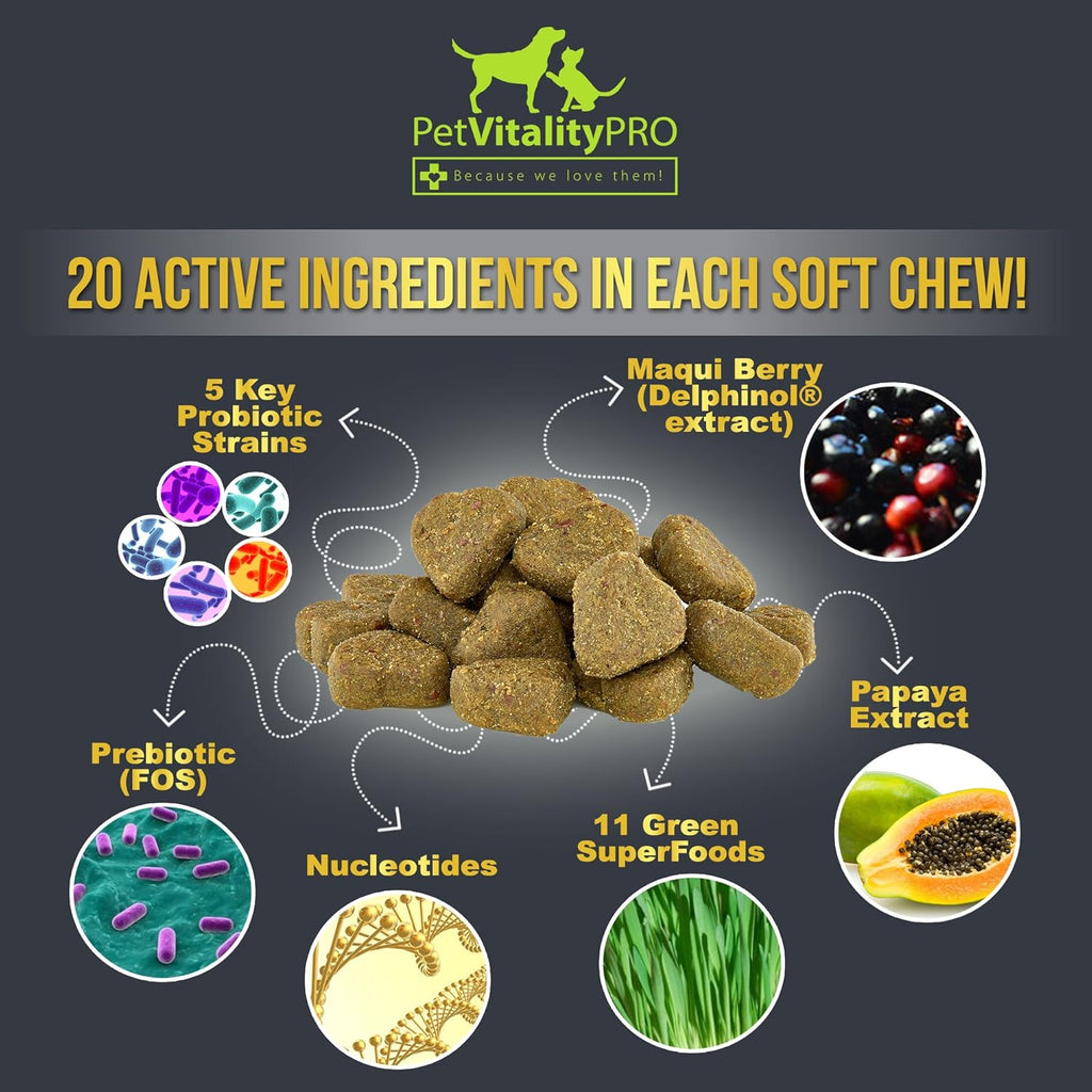 Probiotics for Dogs with Natural Digestive Enzymes, 4 Bill CFUs/2 Soft Chews, 60 Count S52380