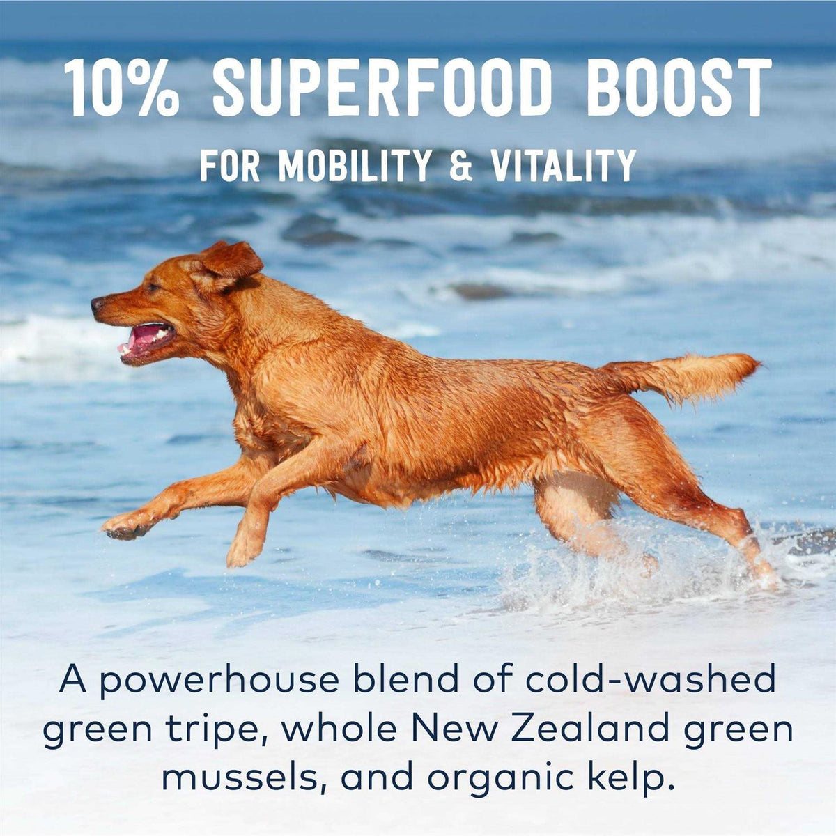 Air-Dried Dog Food W5825