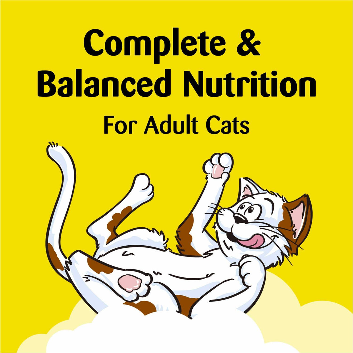 Cat Treats K768