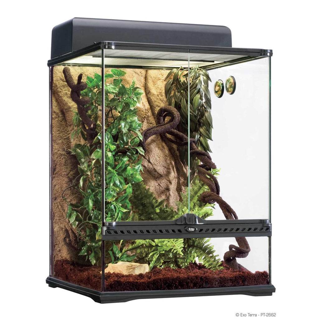 Rainforest Habitat Kit Q820719