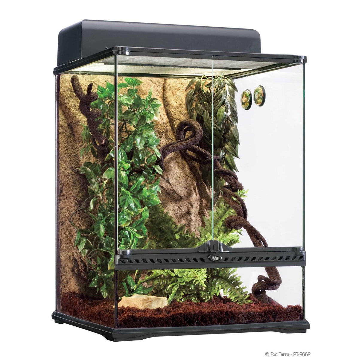 Rainforest Habitat Kit Q820719
