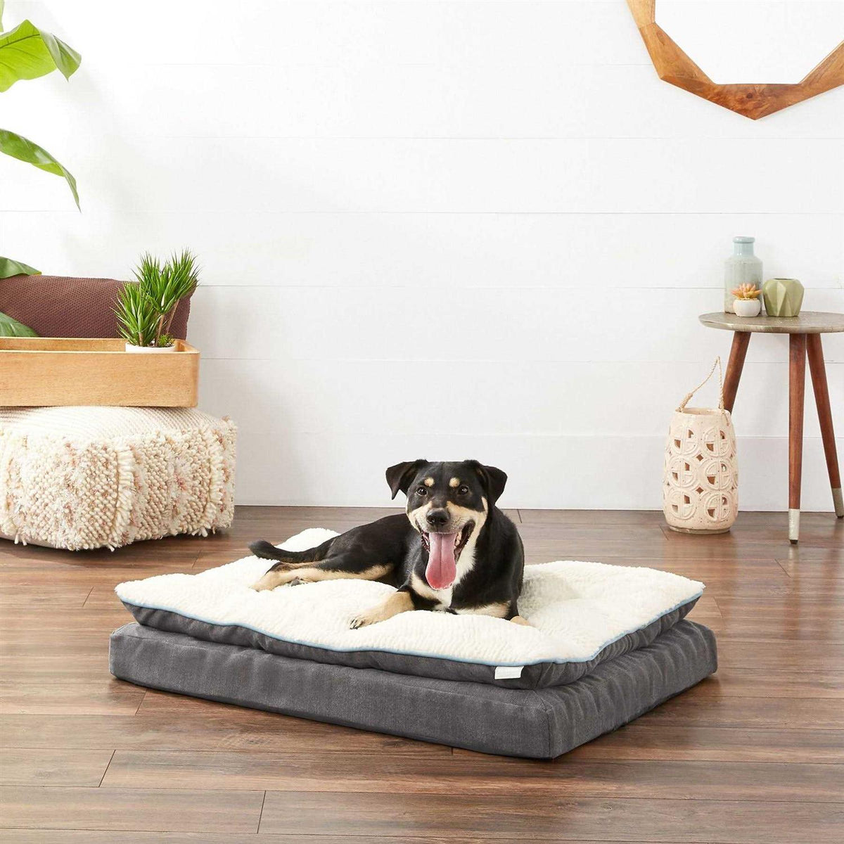 Plush Orthopedic Pillowtop Dog Bed with Removable Cover W116309