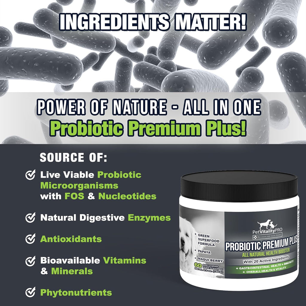 Probiotics for Dogs with Natural Digestive Enzymes, 4 Bill CFUs/2 Soft Chews, 60 Count S52380