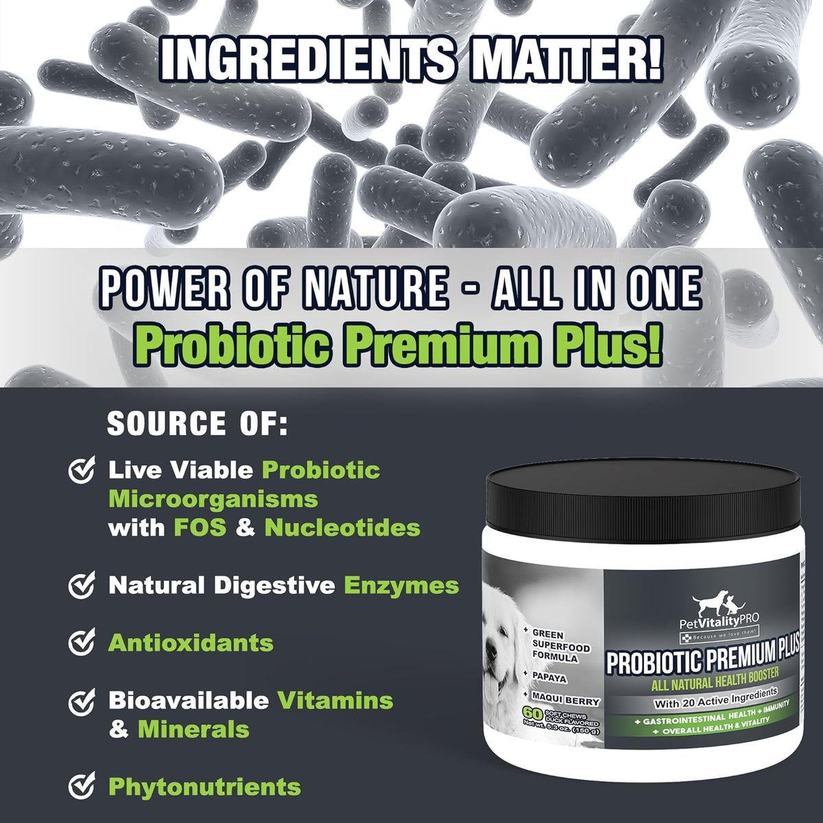 Probiotics for Dogs with Natural Digestive Enzymes, 4 Bill CFUs/2 Soft Chews, 60 Count S52380