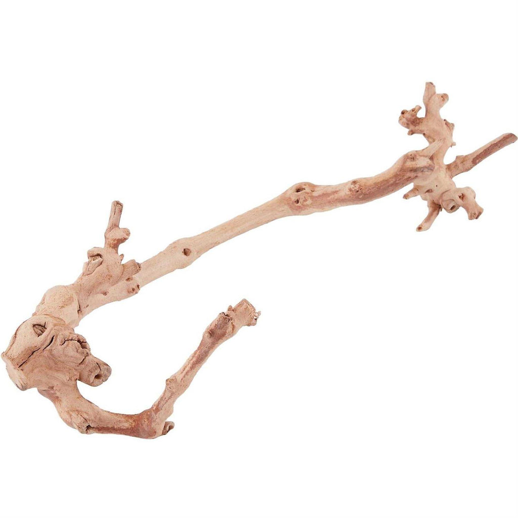 Forest Branch A3266