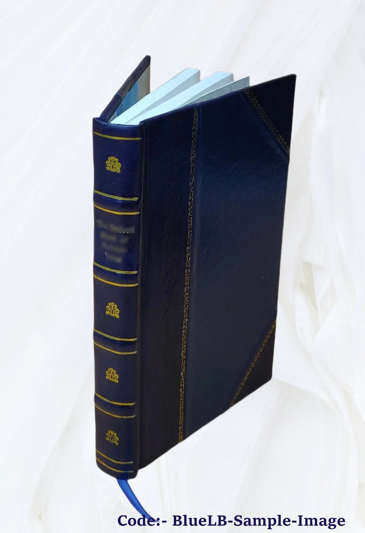 Evangelie in het licht van oude gegevens Leather Bound Q359372