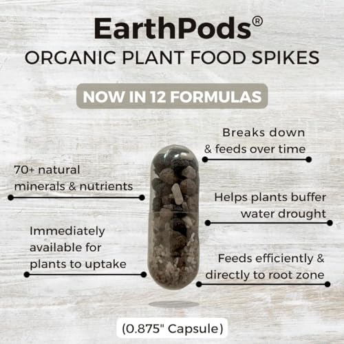 Organic Succulent Plant Food Spikes 100 Concentrated Capsules F4543
