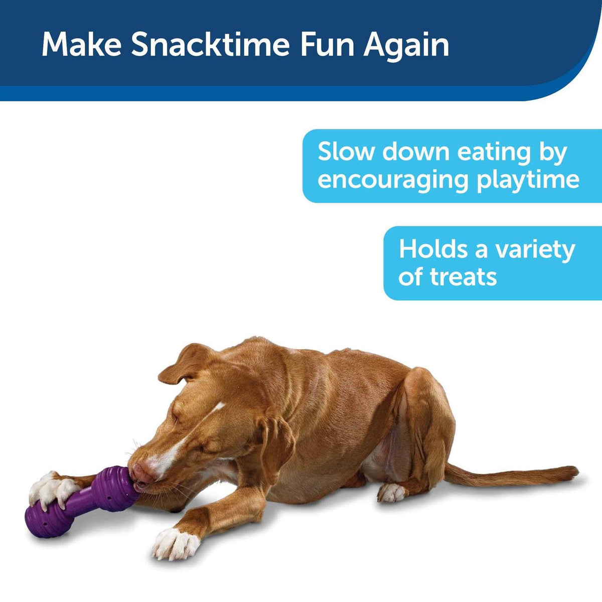 Dog Toy O20496