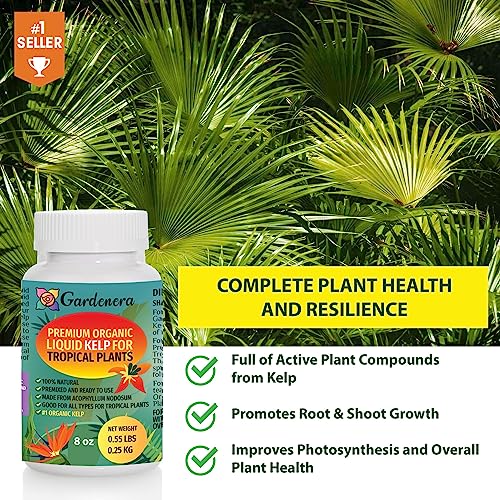 8 oz Organic Liquid Kelp Fertilizer R9722