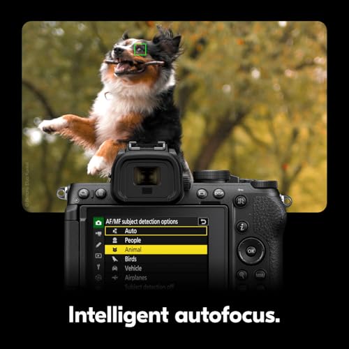 Compact Mirrorless Camera with Two Lenses N80716