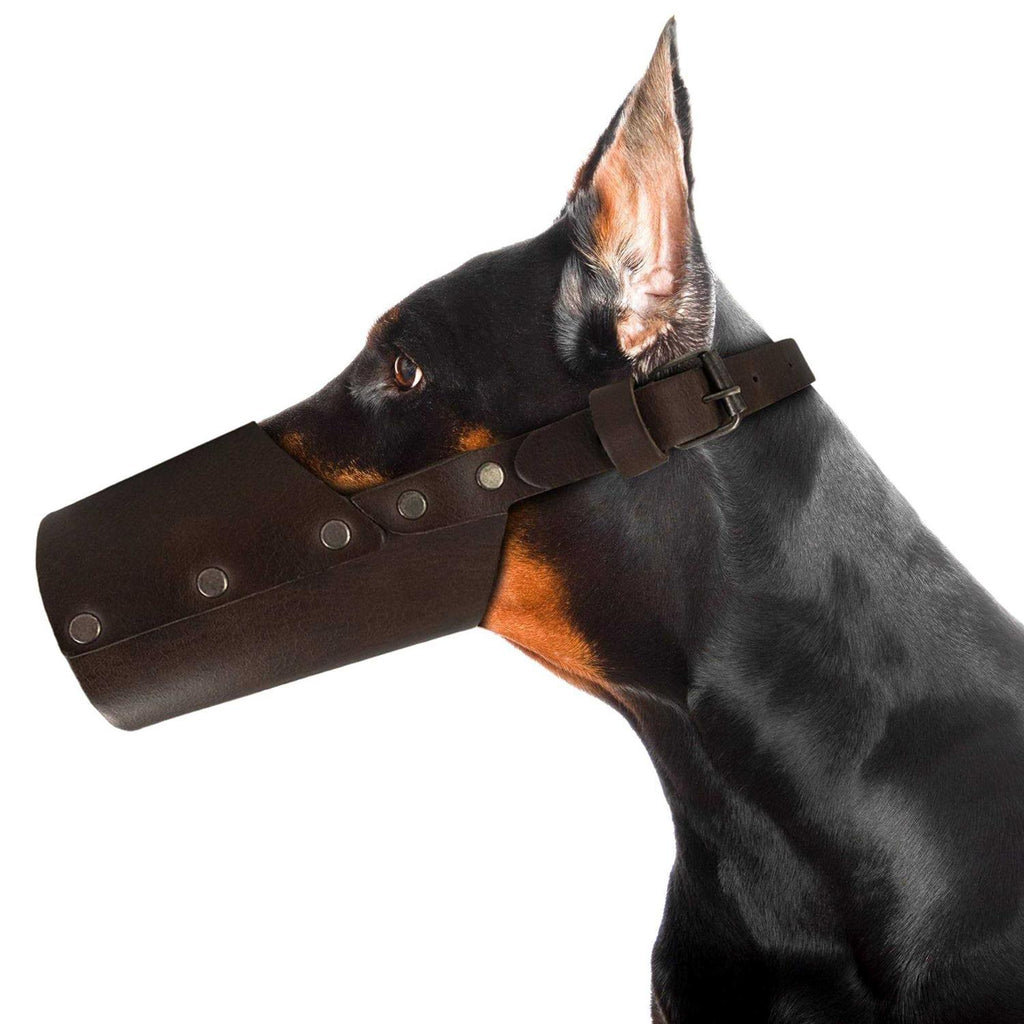 Leather Dog Muzzle D37964