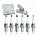 6 pc Iridium Spark Plugs W59282