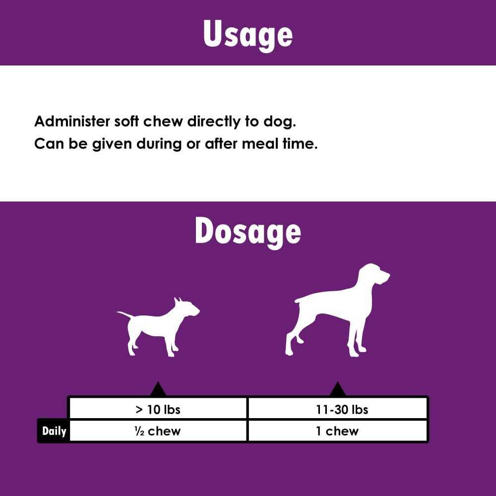 Cognitive Function Dogs Pet Supplies B93672