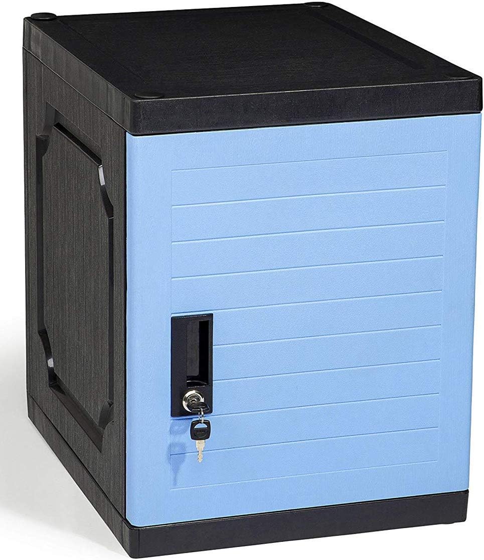 Gray Lockable Storage Cabinet with Keys I5724