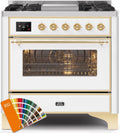 36 Dual Fuel Propane Gas Range with Brass Trim B875