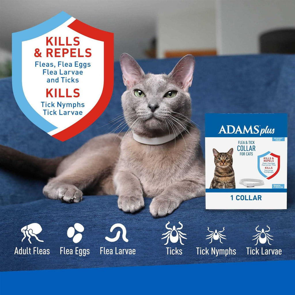 Flea Tick Collar for Cats Z1878