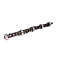 Magnum Camshaft V207765