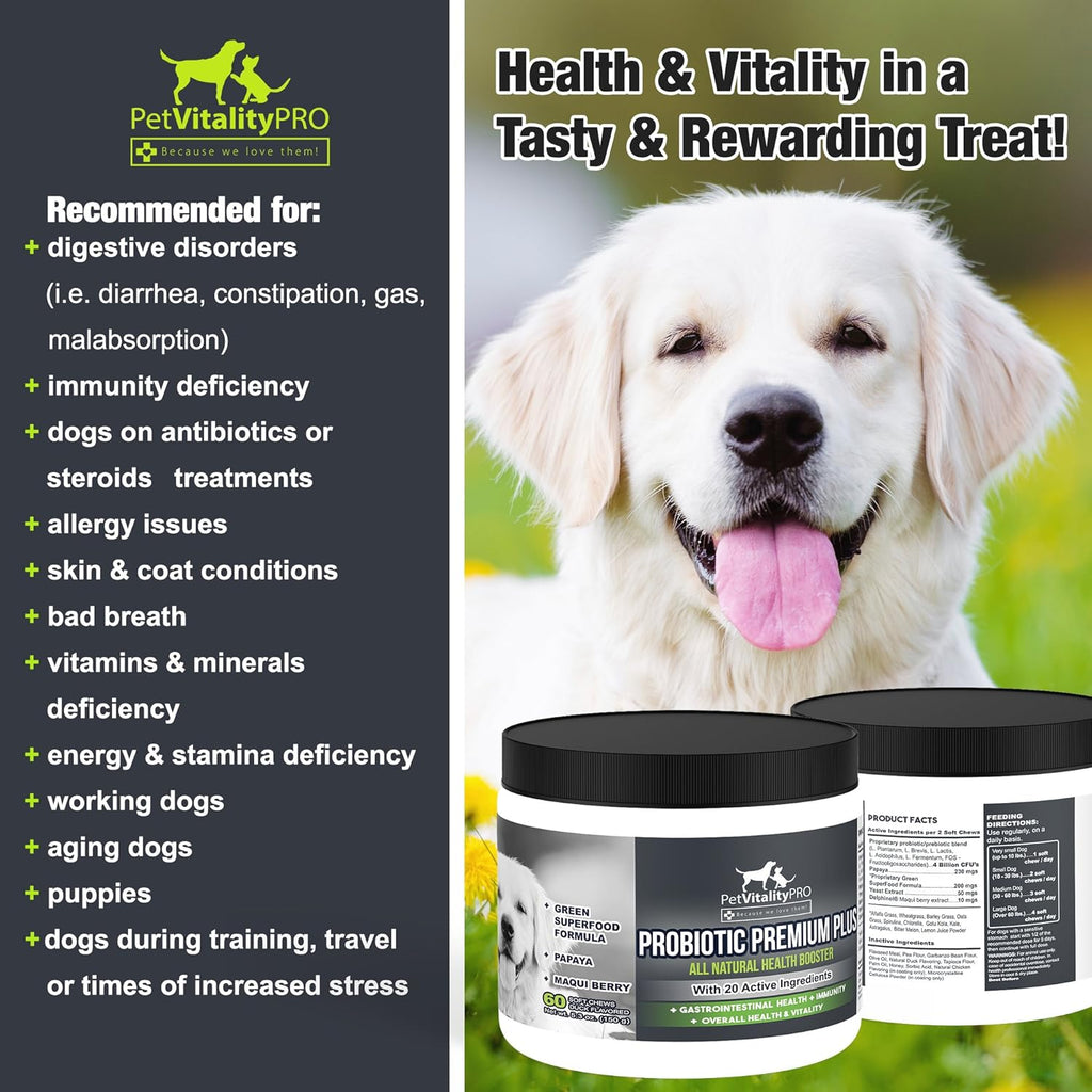 Probiotics for Dogs with Natural Digestive Enzymes, 4 Bill CFUs/2 Soft Chews, 60 Count S52380