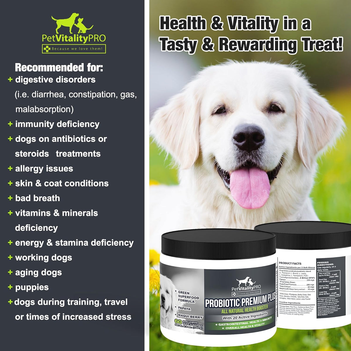Probiotics for Dogs with Natural Digestive Enzymes, 4 Bill CFUs/2 Soft Chews, 60 Count S52380