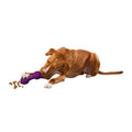 Dog Toy O20496