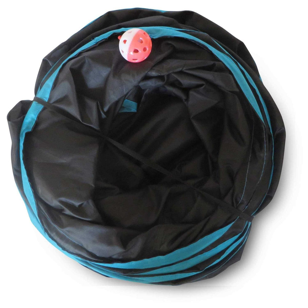 Cat Tunnel B109248