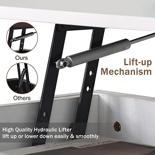 Black Wooden Lift Top Coffee Table with Storage Shelf Q7864