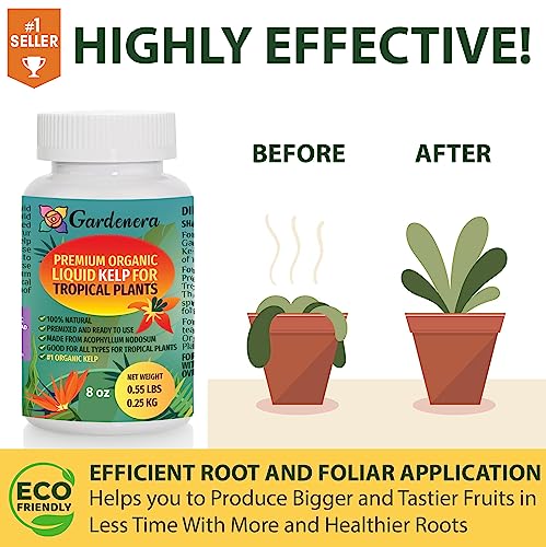 8 oz Organic Liquid Kelp Fertilizer R9722