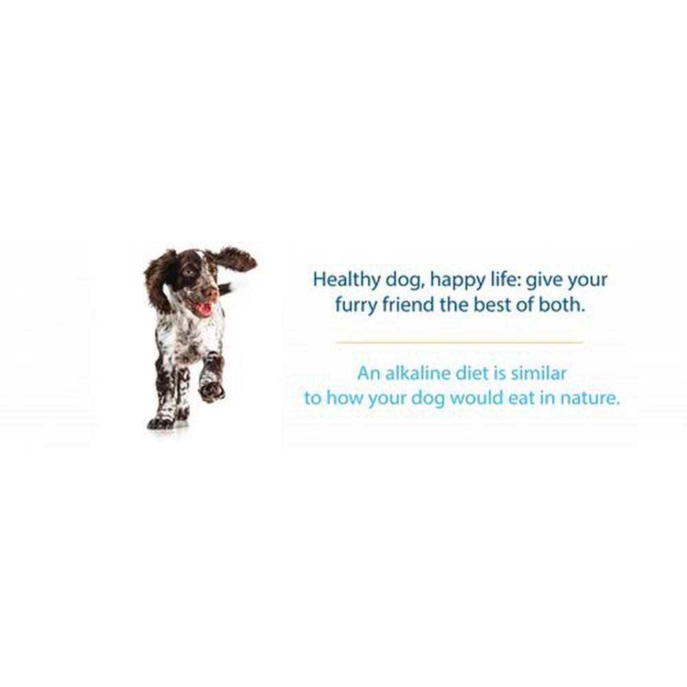 Limited Ingredient Dry Dog Food J6428