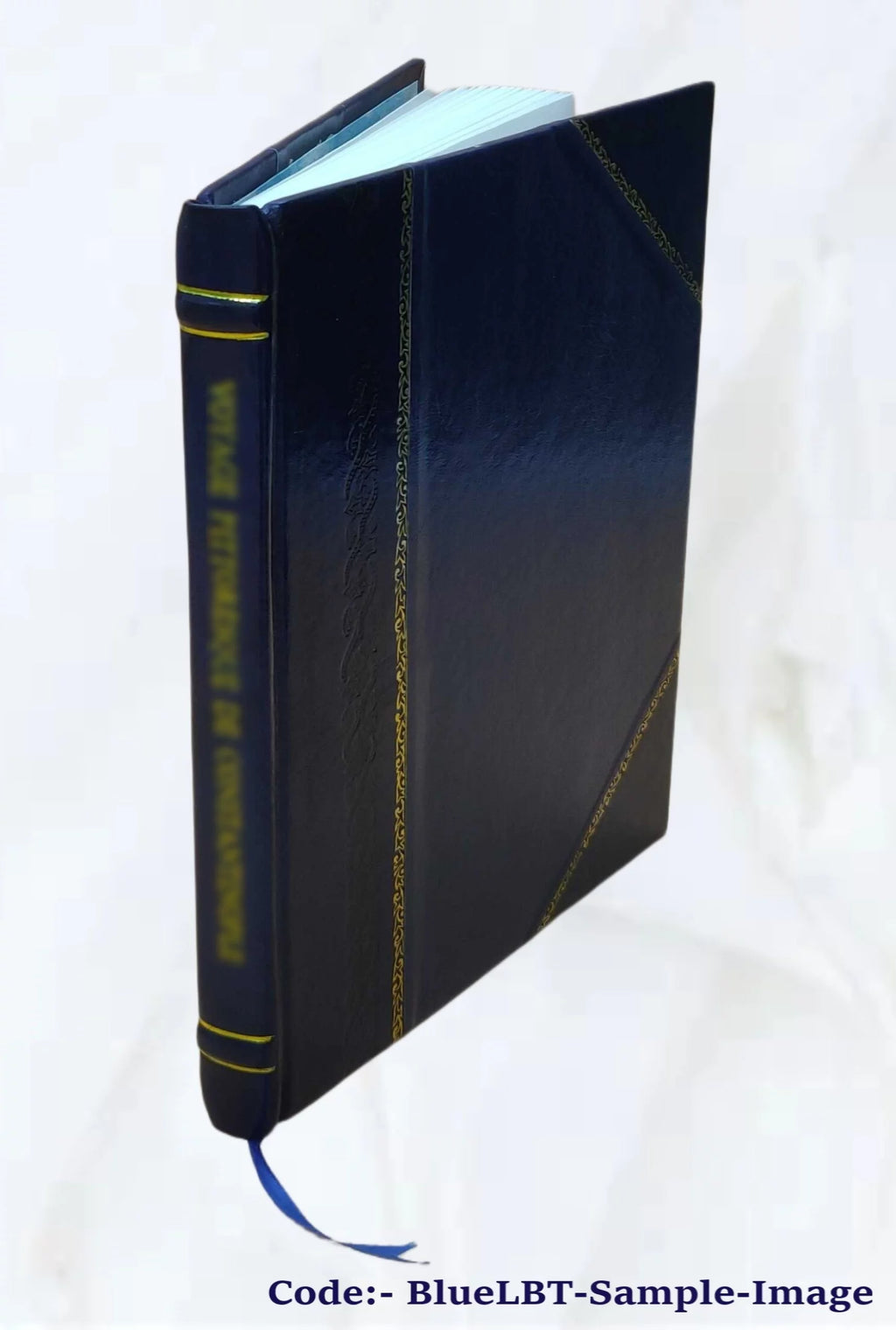 1917 Leather Bound Volume V414541