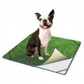Indoor Turf Dog Potty T711397