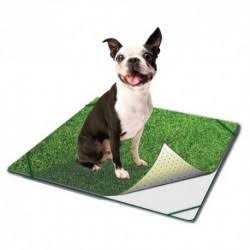 Indoor Turf Dog Potty T711397