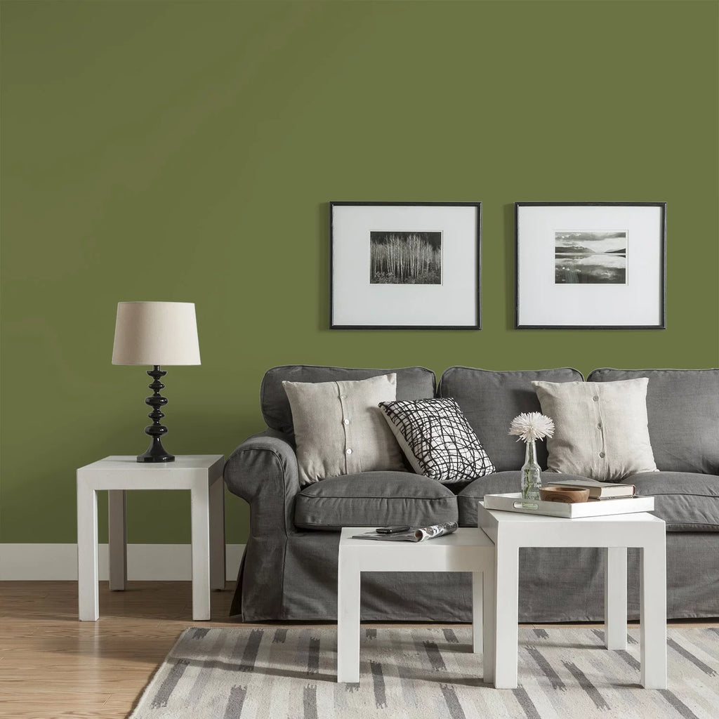 Interior Paint and Primer, Green, 1 Gallon, Eggshell D397
