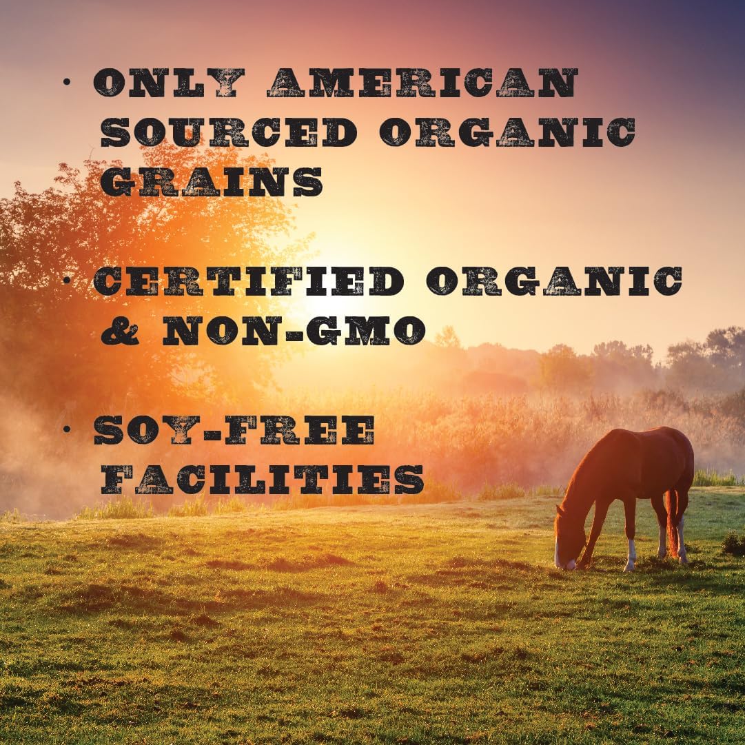 40 lbs Certified Organic Horse Feed P804