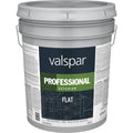 White Exterior Flat Latex Paint 5 Gallon Q3184