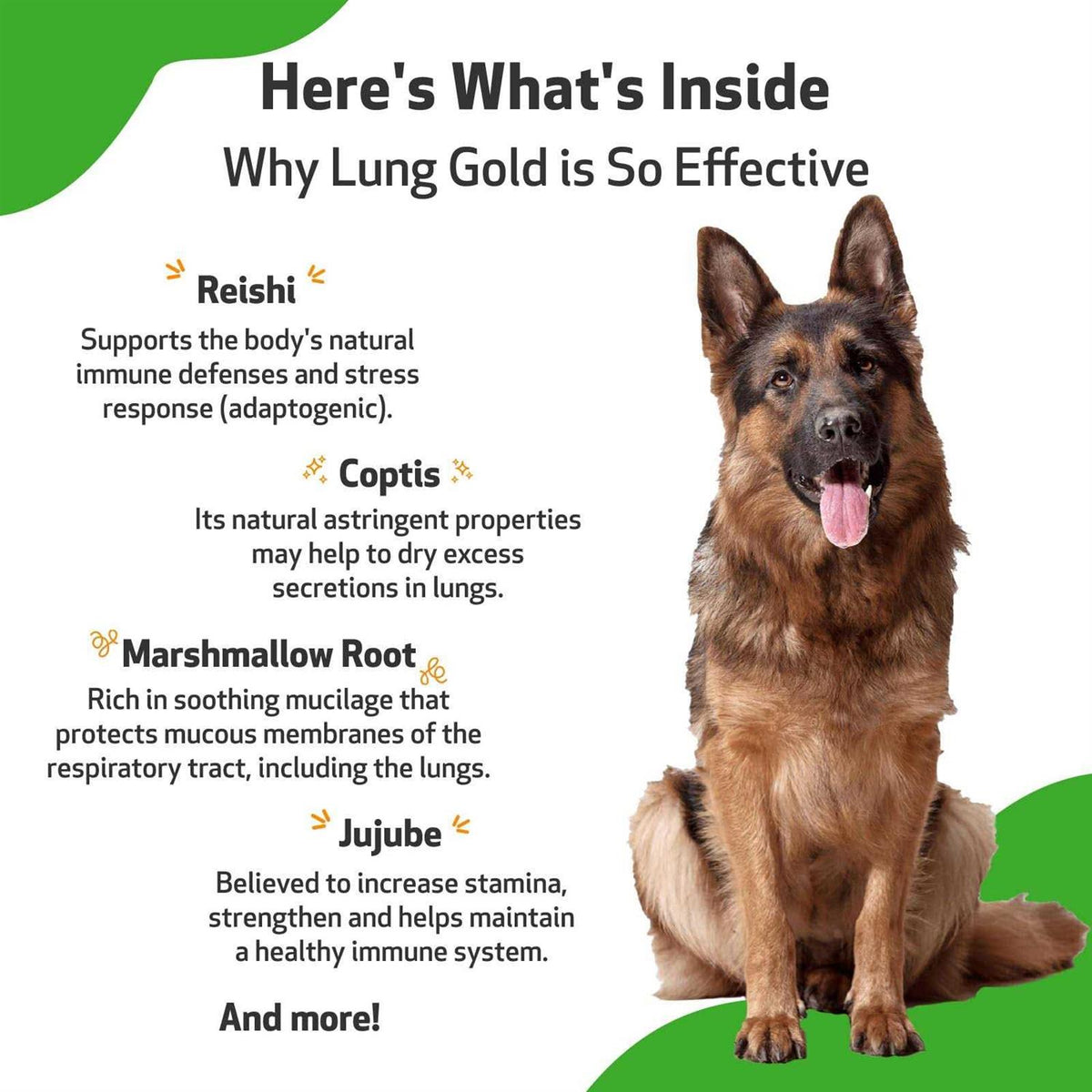 Lung Gold for Dogs G941534