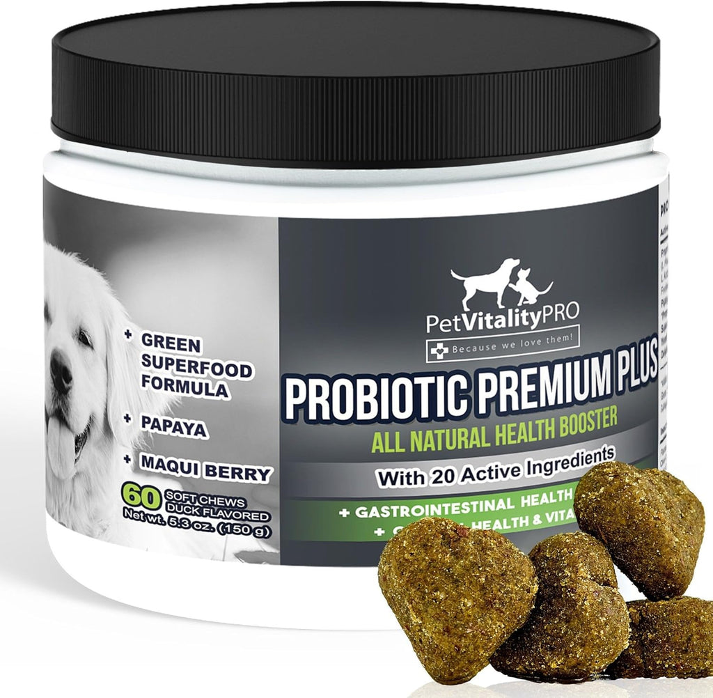 Probiotics for Dogs with Natural Digestive Enzymes, 4 Bill CFUs/2 Soft Chews, 60 Count S52380