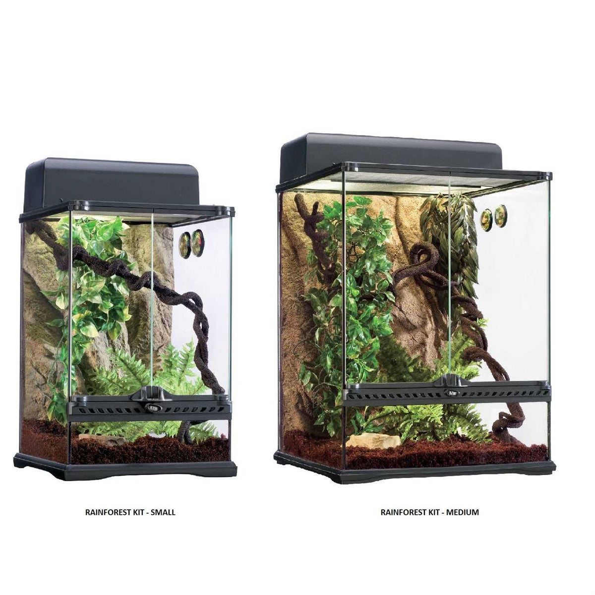 Rainforest Habitat Kit Q820719