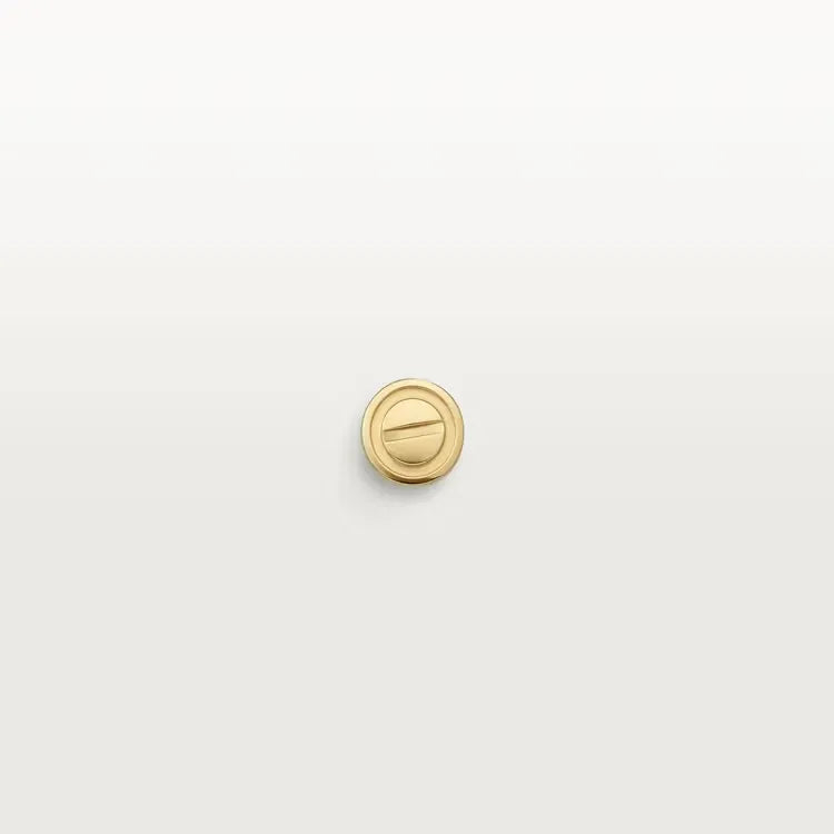Earring W915