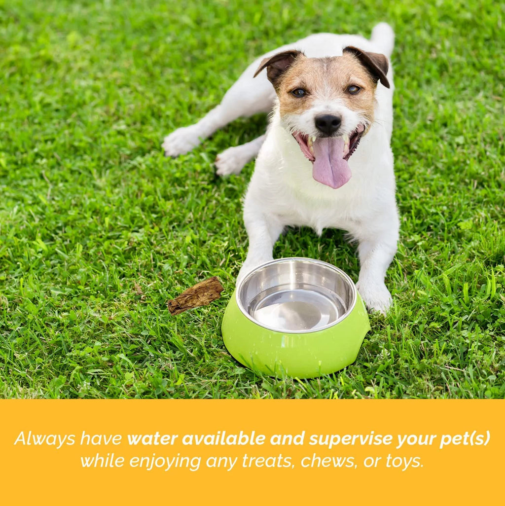 Beef Hide Donut Chews for Dogs 10 Count L479