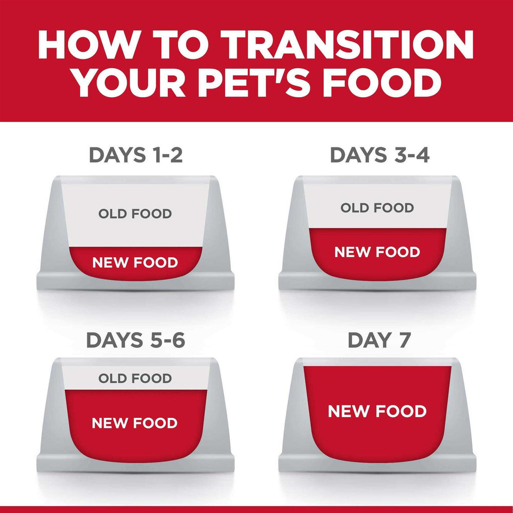 Dry Dog Food I31603