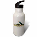 21 oz Sports Water Bottle P526083