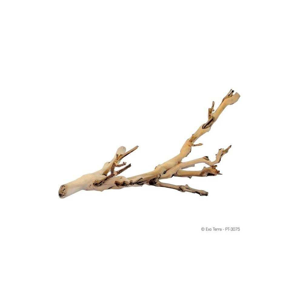 Forest Branch A3266