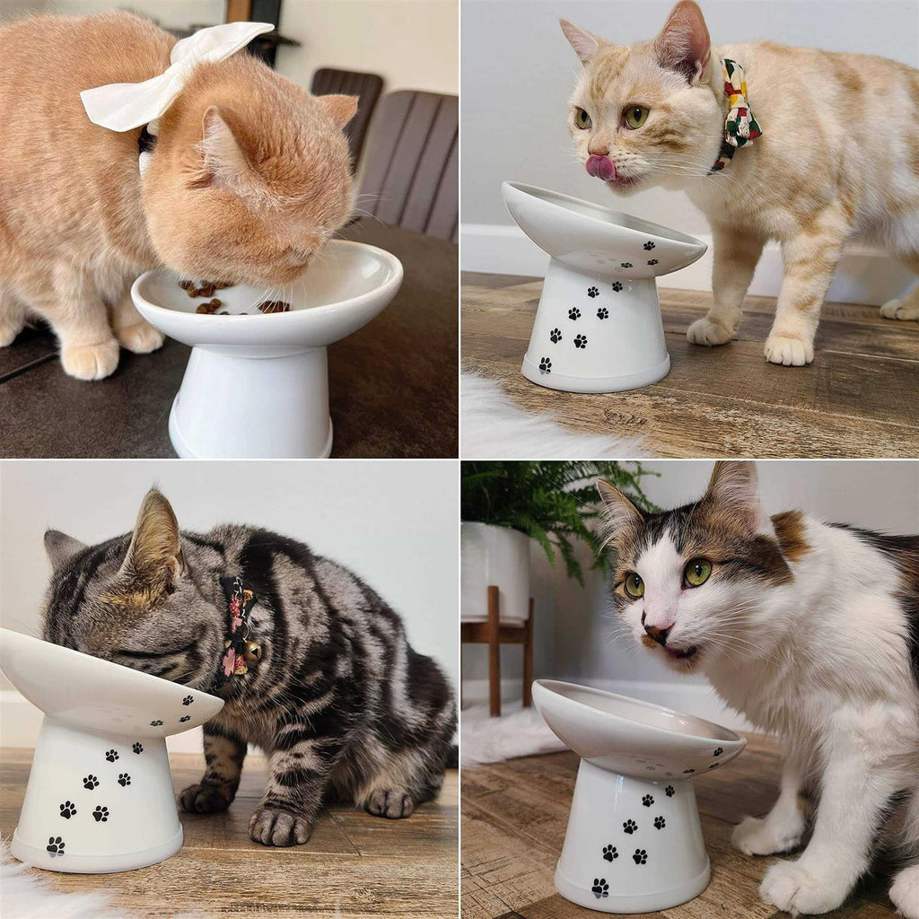 Tilted Raised Cat Food Bowl O287