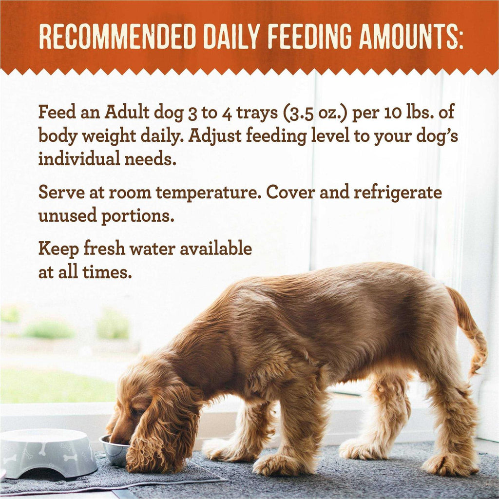 Wet Dog Food Variety Pack H95534