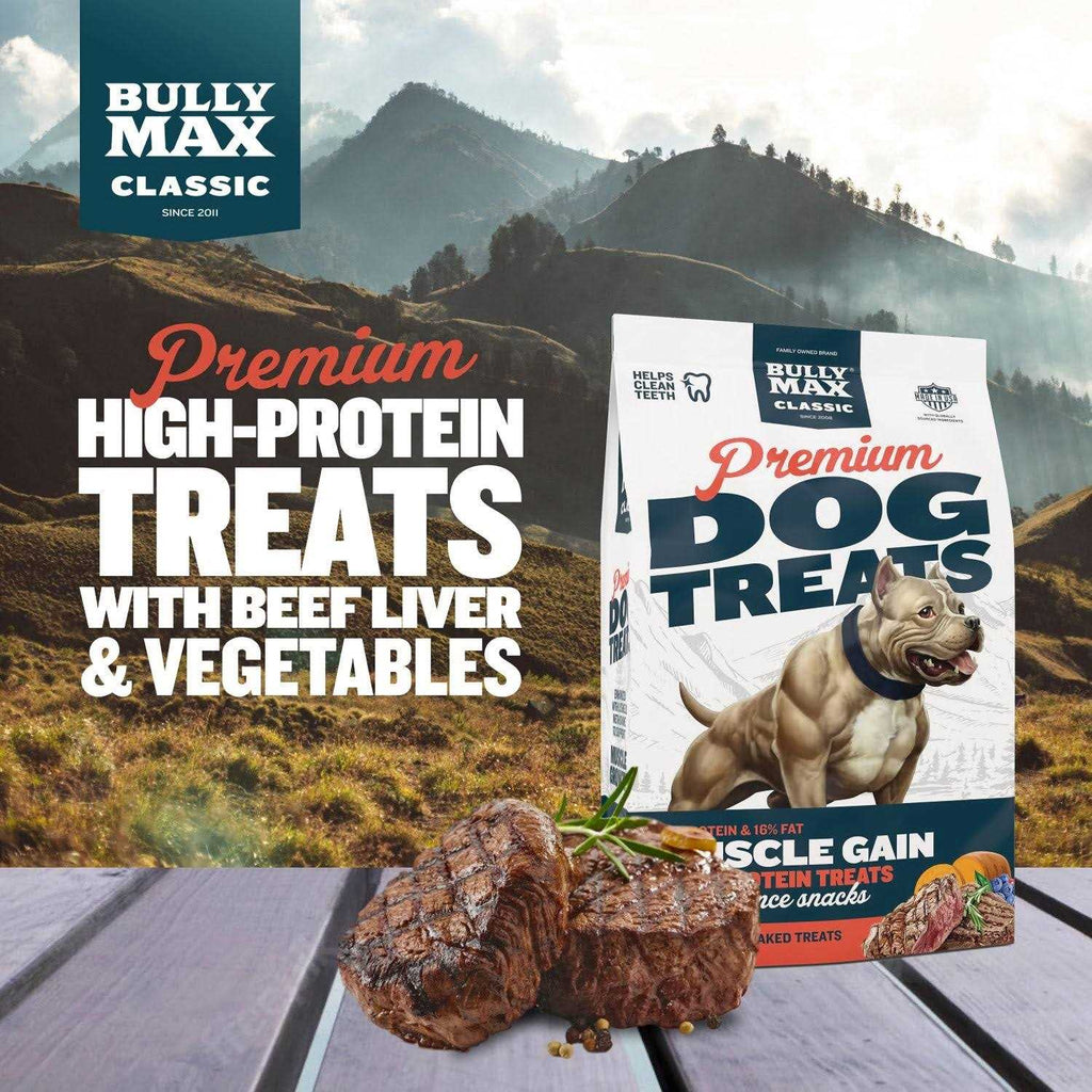 Beef Dog Treats N9537
